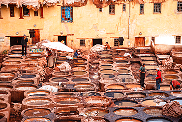 Rows of dye-filled stone basins in a traditional leather tannery in Fes, Morocco, showcasing intricate tanning methods and craftsmanship.