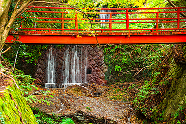 A cascading waterfall flows beneath a vivid red bridge, surrounded by moss-covered rocks and lush greenery in a peaceful forest.