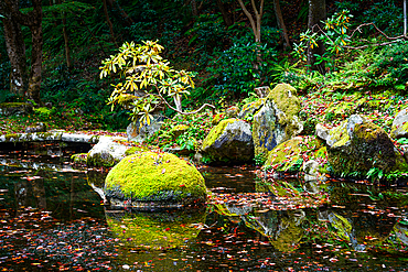 A peaceful garden with moss-covered rocks, a small tree, and a reflective pond at Sanzen-in Temple in Kyoto. Zen garden