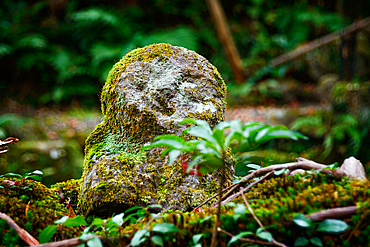 A weathered, moss-covered stone statue in a lush forest garden, surrounded by ferns and foliage near Sanzen-in Temple.