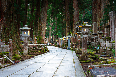 A serene stone path flanked by lanterns and towering trees, leading through the historic cemetery of Koyasan, Japan.