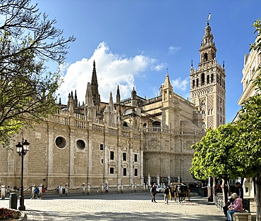 View of the Cathedral of Saint Mary of the See (Seville Cathedral), a Roman Catholic cathedral in Seville, one of the largest churches in the world as well as the largest Gothic church, highlighting the Giralda, the bell tower of the cathedral.