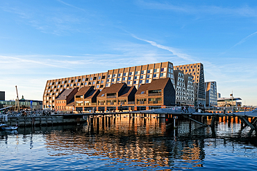 Copenhagen, Denmark – View of Papirøen from Inderhavnsbroen ('The Inner Harbour Bridge'), showing the former warehouse island now redeveloped into a vibrant urban area.