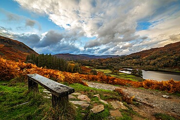 Autumn colours from Rydal Water in Lake District National Park, UNESCO World Heritage Site, Cumbria, England, United Kingdom, Europe