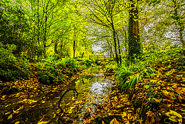 Autumn colours from Conishead Priory, Ulverston, Cumbria, England, United Kingdom, Europe