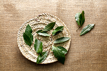 Bay leaves on a woven ethnic plate on a canvas background, Istanbul, Turkey, Europe