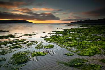 Sunset at Daymer Bay, Cornwall, England, United Kingdom, Europe