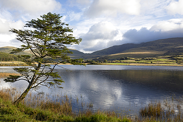 Llyn Gadair, Snowdonia (Eryri), North Wales, United Kingdom, Europe