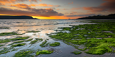 The sun setting at Daymer Bay, Cornwall, England, United Kingdom, Europe