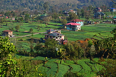 Scenic view of countryside with agricultural area and area with forestry in Himachal Pradesh, India, Asia