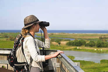 young woman watching from Senillosa observation post in the Nature reserve of Els Aiguamolls de Emporda. Costa Brava,Catalonia,Spain,Europe