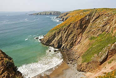 Coast along Grand Greve Bay at La Coupee, Sark island, Bailiwick of Guernsey, British Crown dependency, English Channel, Europe