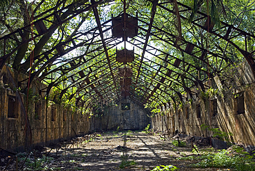 Ruined cells of penal colony on Ile Saint-Joseph, Iles du Salut (Islands of Salvation), French Guiana, Overseas department and region of France, French Guiana, South America