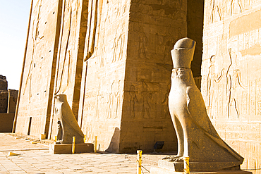 Statue of Horus beside of the first pylon, Temple of Edfu, Egypt, Northern Africa