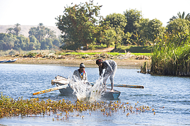 Net fishermen in rowing boat practicing a technique consisting of hitting the surface of the water to drive the fish in the nets, village of Ramadi, west bank of the Nile south of Edfu, Egypt, North East Africa