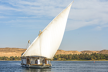 Dahabeah under sail, passenger river boat of the Lazuli fleet, sailing on the Nile river near Aswan, Egypt, northeast Africa