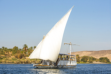 Dahabeah under sail, passenger river boat of the Lazuli fleet, sailing on the Nile river near Aswan, Egypt, northeast Africa