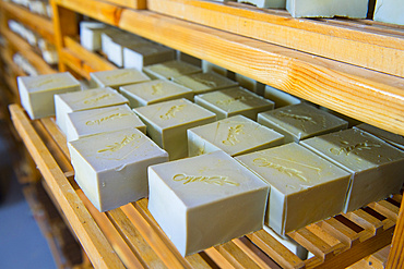 Soaps based on olive oil at the Soap House, Ajloun Forest Reserve, Jordan, Middle East