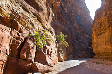 The Siq, narrow gorge leading to the Historic and archaeological Nabataean city of Petra, UNESCO World Heritage Site, Jordan, Near East, Southern Levant, West Asia