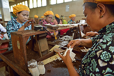 women workers at Tapel Koeda Kretek (Clove Cigarette) Factory at Juwana, Java island, Indonesia, Southeast Asia