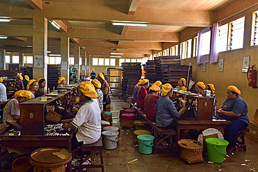 women workers at Tapel Koeda Kretek (Clove Cigarette) Factory at Juwana, Java island, Indonesia, Southeast Asia