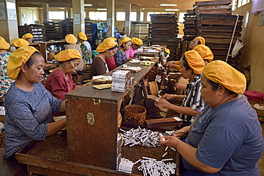 women workers at Tapel Koeda Kretek (Clove Cigarette) Factory at Juwana, Java island, Indonesia, Southeast Asia