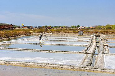 Salt ponds of Punjulharjo Village near Lasem, Java island, Indonesia, Southeast Asia