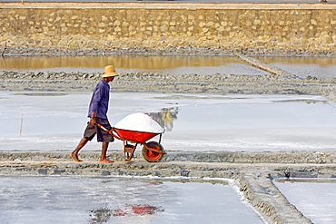 Man pushing wheel barrow full of salt, Salt fields at Karangjahe, near Lasem, Java island, Indonesia, Southeast Asia, Asia