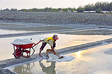 Worker filling wheel barrow with salt, Salt fields at Karangjahe, near Lasem, Java island, Indonesia, Southeast Asia, Asia