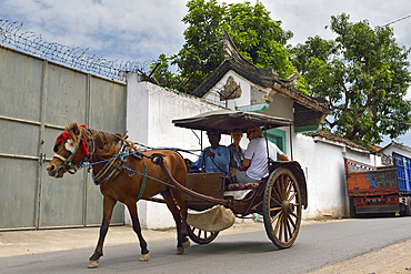 'Dokar' riding, horse-drawn cart, a typical Indonesian means of transport, Lasem, Java island, Indonesia, Southeast Asia