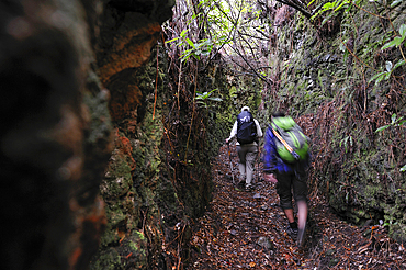 hikers on an ancient path used by villagers to cross the island from North to South, on the heights of Santana,Madeira island,Atlantic Ocean,Portugal