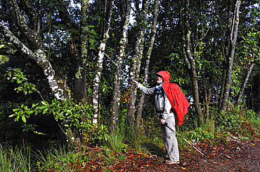 hiker on an ancient path used by villagers to cross the island from North to South, on the heights of Santana,Madeira island,Atlantic Ocean,Portugal