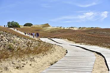 Cognitive trail through sand dunes, Nagliai Nature Reserve, Curonian Spit, Lithuania, Baltic States, North Europe