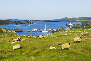 Inishbofin island,Connemara,County Galway,Ireland,Western Europe