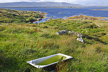 Landscape at the north of Lettermore island, Connemara, County Galway, Connacht, Republic of Ireland