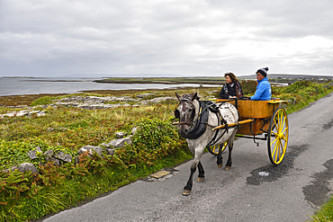 horse-drawn carriage trip at Inishmore, the largest of the Aran Islands, Galway Bay, West Coast, Republic of Ireland, North-western Europe