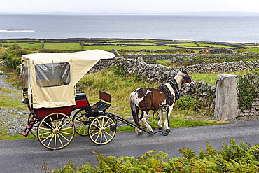 horse-drawn carriage trip at Inishmore, the largest of the Aran Islands, Galway Bay, West Coast, Republic of Ireland, North-western Europe