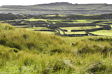 grassy dunes of Cil Mhuirbhigh (Kilmurvey Village), Inishmore, the largest of the Aran Islands, Galway Bay, West Coast, Republic of Ireland, North-western Europe