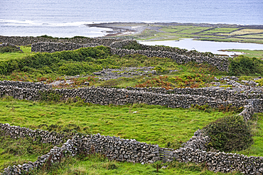 Enclosures with dry stone walls, Inishmore, largest of the Aran Islands, Galway Bay, County Galway, Connacht, Republic of Ireland