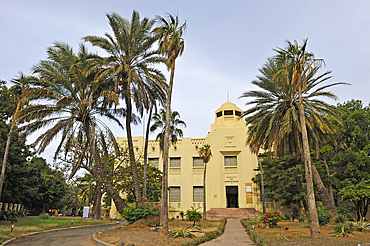 Theodore Monod African Art Museum at IFAN (Institut fondamental d'Afrique noire), Soweto square, Dakar,Senegal, West Africa