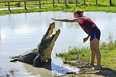 young woman working at Gator Country Wildlife Adventure Park, Beaumont, Texas, United States of America, North America