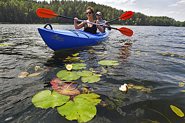 Canoe trip among the nenufars (Nymphaea) on the lake Asekas around Ginuciai, Aukstaitija National Park, Lithuania, Europe