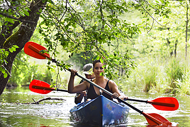 Canoe trip on a branch of the river connecting the lakes Almajas and Asekas around Ginuciai, Aukstaitija National Park, Lithuania, Europe