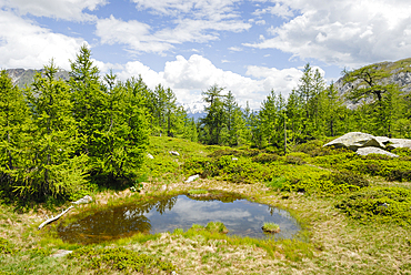 Going down toward Santa Maria valley, Lucomagno area, Canton Ticino, Switzerland