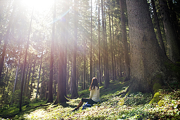 young woman relaxing in European spruce forest, near Villabassa in High Puster Valley, Trentino-Alto Adige, Sudtyrol, South Tyrol, Italy, South-central Europe