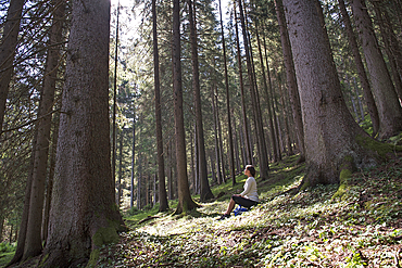 young woman relaxing in European spruce forest, near Villabassa in High Puster Valley, Trentino-Alto Adige, Sudtyrol, South Tyrol, Italy, South-central Europe