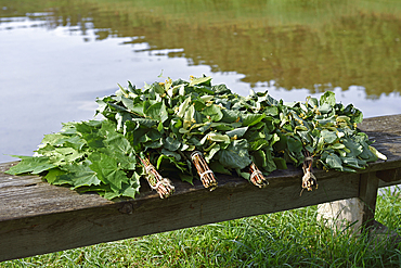 Linden, and other, branches used to flog during the traditional sauna seance on the edge of Lusiai Lake at Paluse, Aukstaitija National Park, Lithuania, Europe