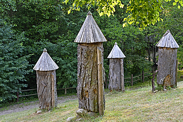 Ancient beehives in the Beekeeping Museum, Stripeikiai, Aukstaitija National Park, Lithuania, Europe