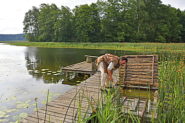 Man taking a fish from a fish tank, Gaideliai rural tourism homestead on the edge of Srovinatis lake, Ginuciai, Aukstaitija National Park, Lithuania, Europe