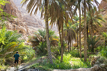 Wadi Shab, canyon near Tiwi, Sultanate of Oman, Arabian Peninsula